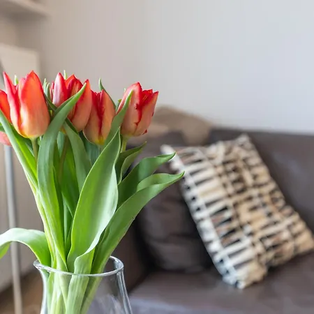Lägenhet Eden Roc 217 Oostende
